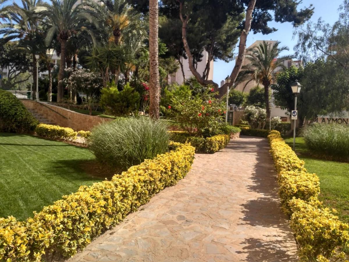 Wifi Loix Apartment Benidorm Exterior photo